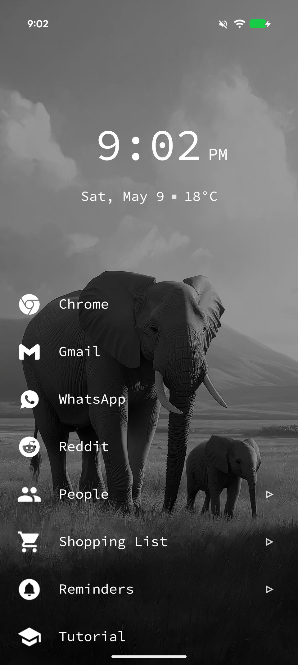 Tree Launcher home screen showing apps, tasks, and notes organized in nested pages