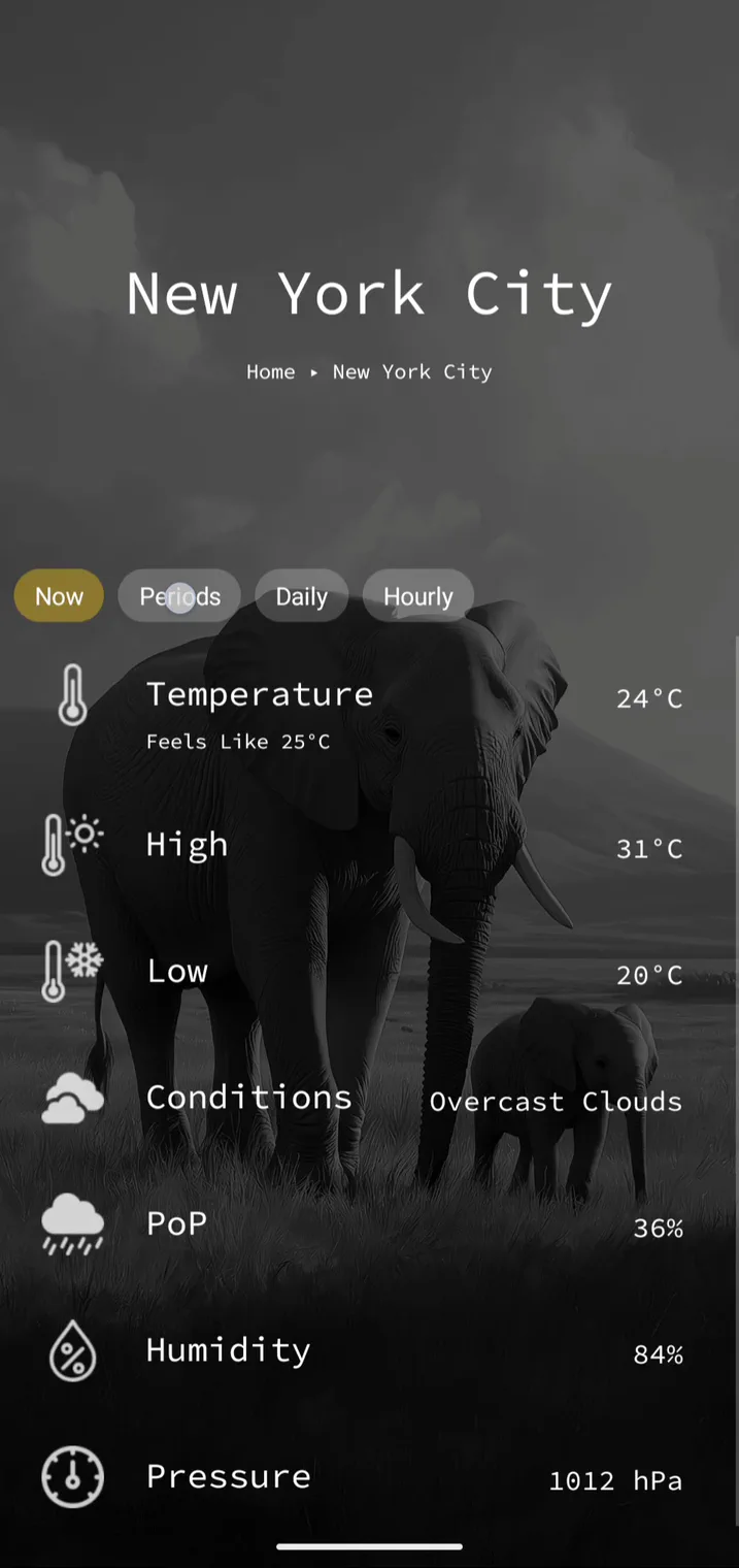 A weather page showing current conditions and forecasts